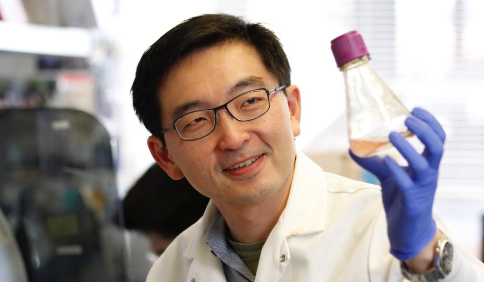 Researcher Kevin Wang in lab at Stanford University in Palo Alto, California, Monday, June 25, 2018.  He is holding a flask of cells that have been engineered to produce the Regina protein, a mammalian protein similar in structure to the active component of honeybee royal jelly.(Photography by Paul Sakuma Photography) www.PaulSakuma.com